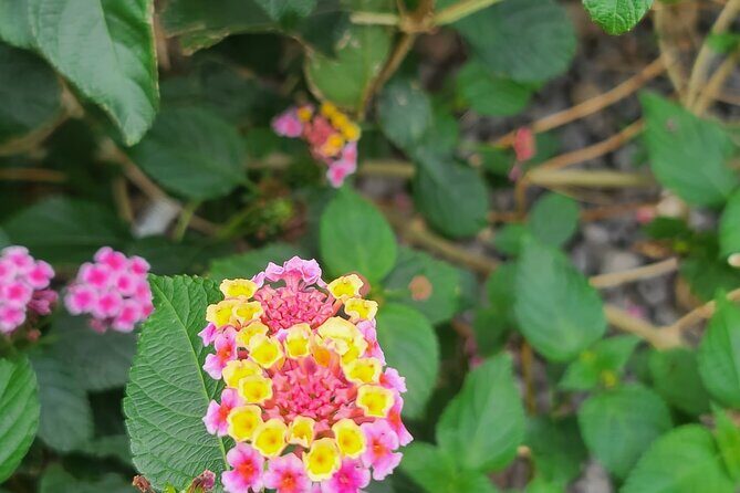 Full Day 12 hours whole Jeju Island private flexible tour - FAQs