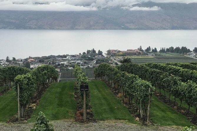 Full Day 4 Wineries Mission Hill & Quails Gate With Lunch Stop* - Who Will Love This Tour?