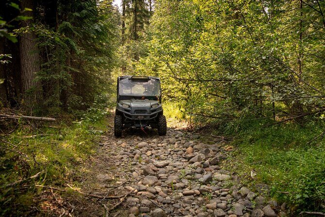 Full Day 6-Seater Can-Am Defender Max Limited UTV Rental - The Experience: What You Can Expect