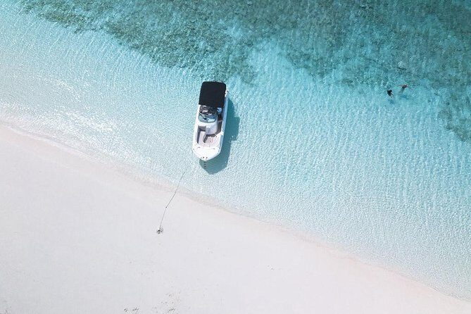 Full day 7hours- beach bbq, snorkel, Iguana island, half moon bay pine cay, Fun! - Who Is This Tour Perfect For?