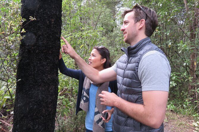 Full-Day Abel Tasman National Park Hiking Tour with Cruise - A Thorough Look at the Tour Experience