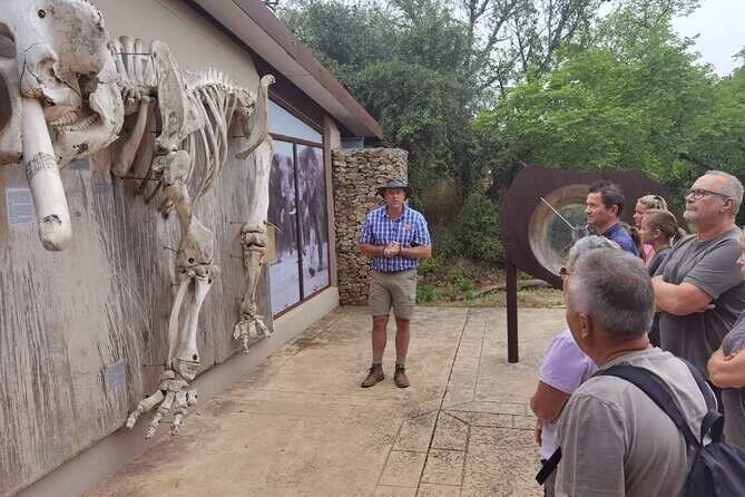 Full-Day Addo Elephant Park & Giraffe Walk - FAQ