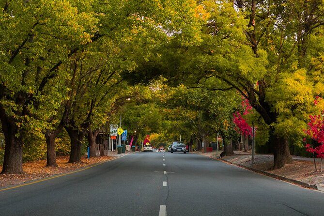 Full Day Adelaide Private Guided Car Tour - What’s Included and What’s Not
