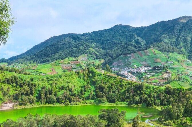 Full-Day Adventure: Green Tea Garden & the Mystical Dieng Plateau - Key Points