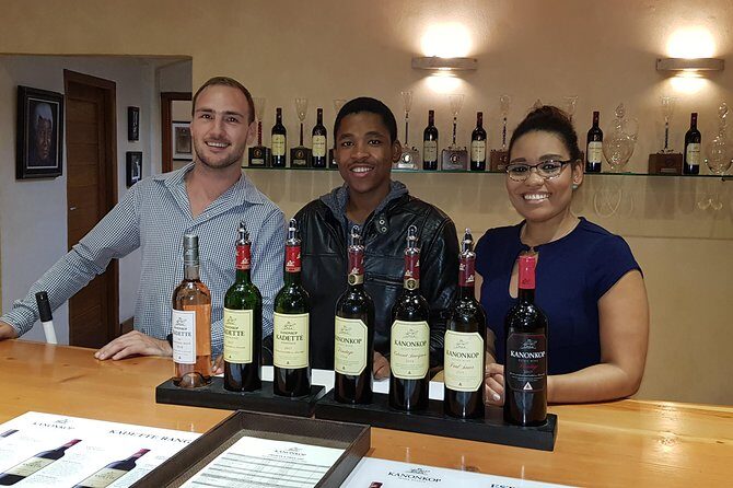 Full Day Afrivista Wine Tours from Stellenbosch - Why This Tour Excels: The Strengths and What to Expect
