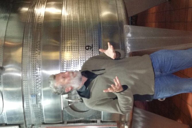 Full Day Afrivista Wine Tours from Stellenbosch - Final Thoughts: Who Should Consider This Tour?