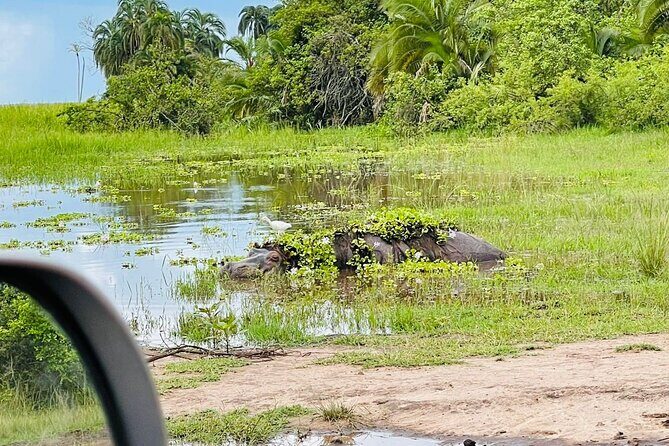 Full Day Akagera National Park Game Drive and Boat Safari - Detailed Review of the Tour
