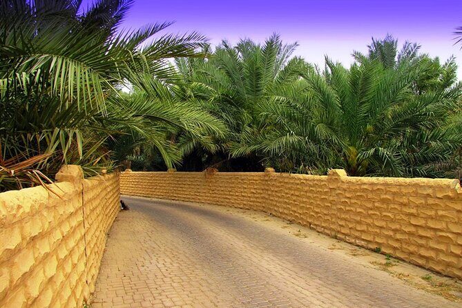 Full Day Al Ain tour with Lunch from Dubai - Is This Tour Worth It?