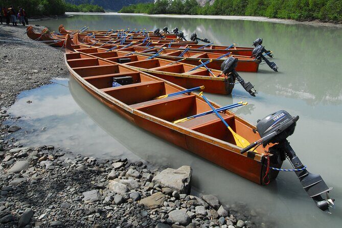 Full-Day Alaska Wildlife Voyageur Canoe Safari from Skagway - Practical Details and Tips