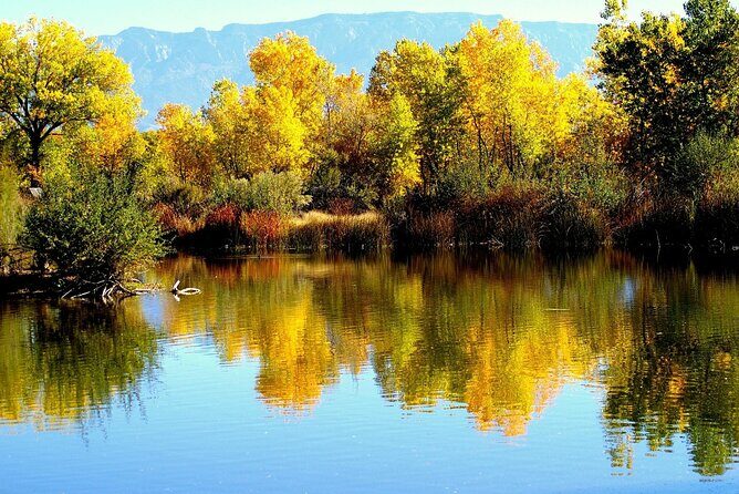 Full Day Albuquerque Tour (with Hotel Pickup) - Exploring Albuquerque through a Private Lens