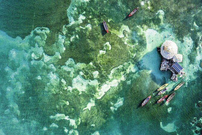 Full-Day Appleton Rum, YS Falls and Pelican Bar Private Tour - Key Points