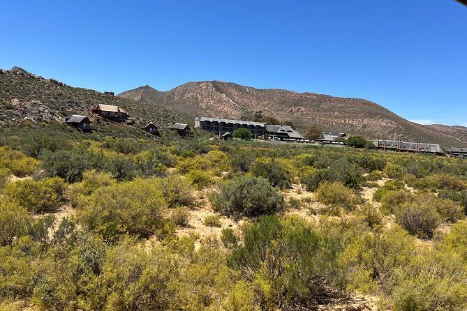 Full day Aquila Game Reserve Big 5 Safari with Wine Tasting Tour - FAQ