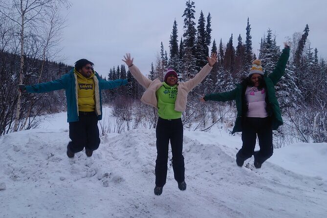 Full Day Arctic Circle Tour - The Value of the Tour