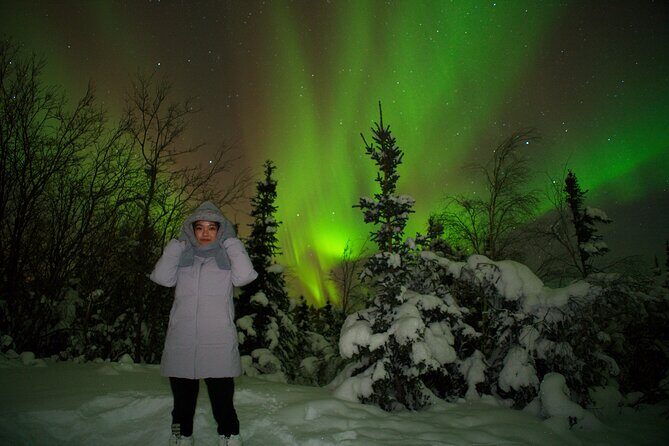 Full Day Arctic Circle Tour - The Sum Up: Who Should Consider This Tour?