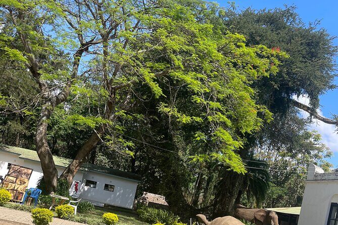 Full Day Arusha City Tour - FAQ