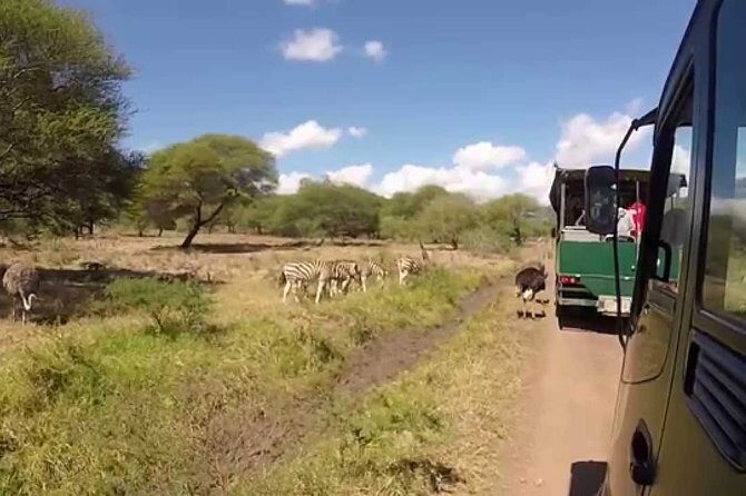 Full Day at Casela World of Adventures (Transport Only) - Key Points