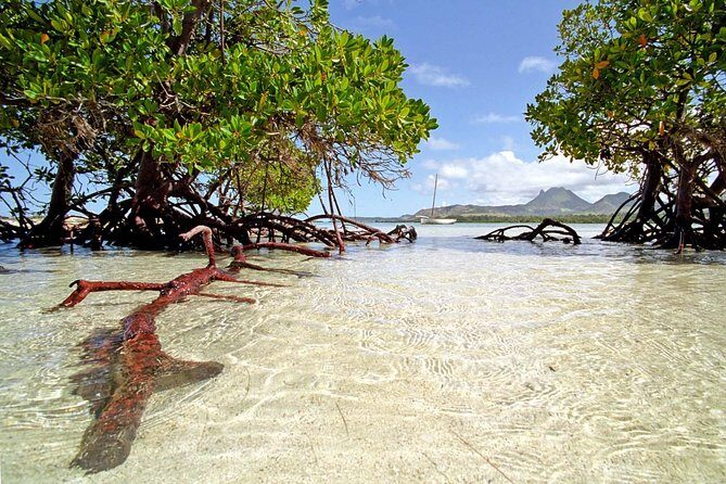 Full-Day At Ile Aux Cerf: Speed Boat, GRSE, Lunch On A Private Island & Transfer - Key Points