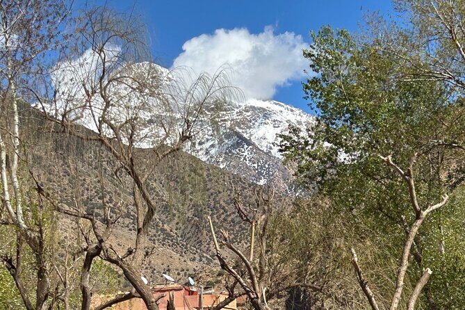 Full Day Atlas Mountains Private Day Tour From Marrakech - Exploring the Atlas Mountains: What to Expect