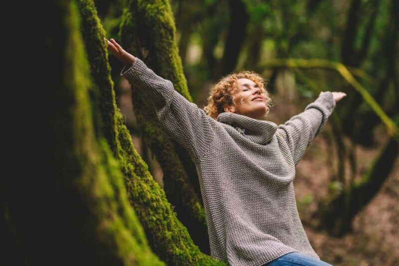 Full-day Auckland City & Rainforest Private Tour by Car - Key Points
