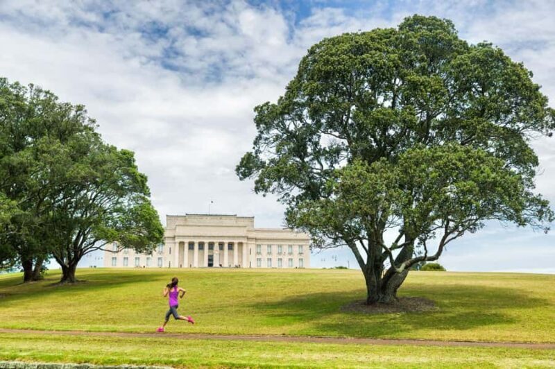 Full-day Auckland City & Rainforest Private Tour by Car - A Practical Look at the Itinerary
