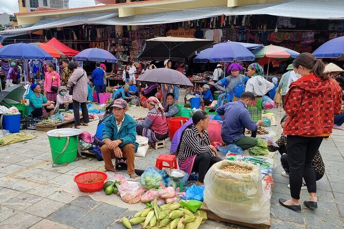 Full-day Bac Ha Sunday Market Private Tour from Sapa - Introduction to the Tour