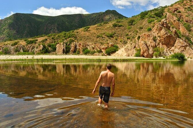 Full-Day Baviaanskloof Reserve - The Value of Guided Expertise