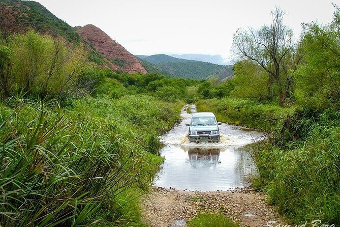 Full-Day Baviaanskloof Reserve - Who Should Consider This Tour?