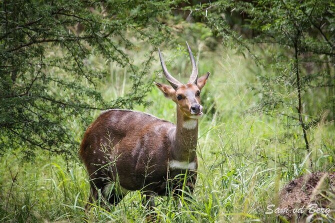 Full-Day Baviaanskloof Reserve - The Sum Up