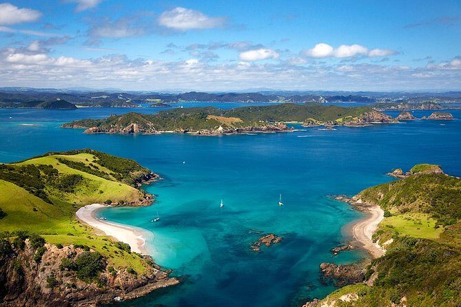 Full-Day Bay of Islands Tour by Vigilant Yacht Charters - An Overview of the Full-Day Bay of Islands Experience