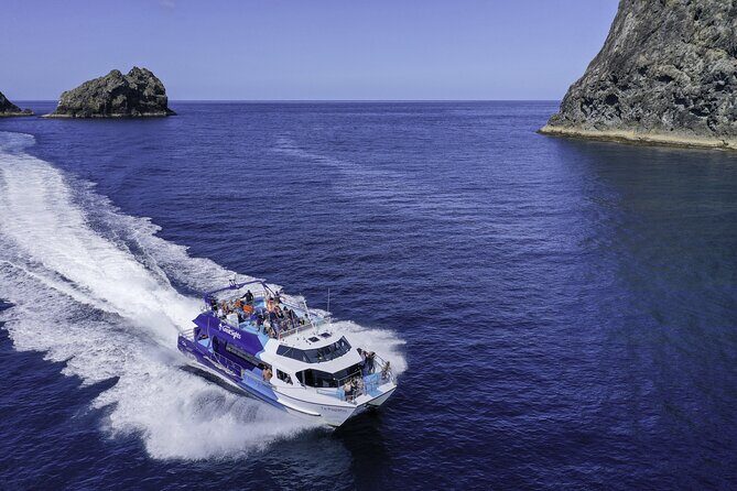 Full-Day Bay of Islands Tour by Vigilant Yacht Charters - The Sum Up: Is It Worth It?