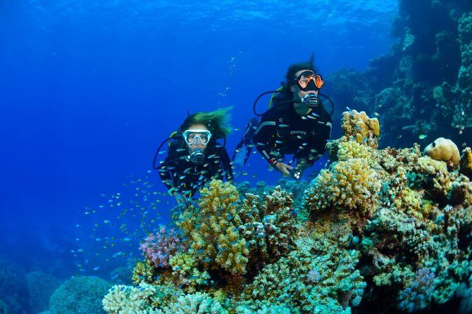 Full-Day Beginner Scuba Course with Private Tuition, Racha Yai - The Sum Up