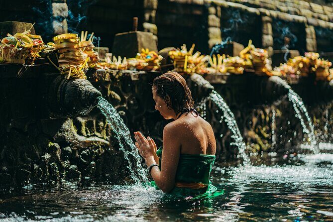 Full Day Best of Ubud Private Tour - Exploring the Full Day Best of Ubud Private Tour