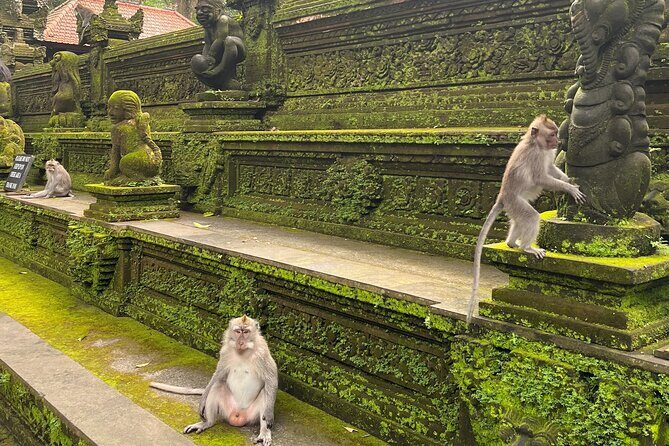 Full Day Best of Ubud Private Tour - Final Thoughts: The Value of a Guided Day in Ubud