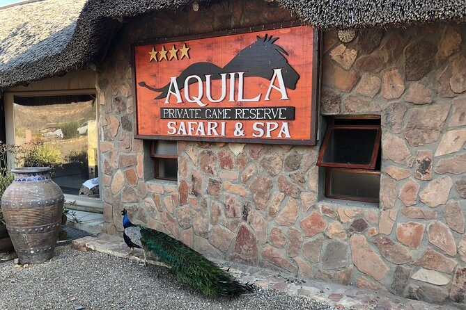 Full Day Big 5 Aquila Safari Private Transfers Including Park Fee From Cape Town - FAQ