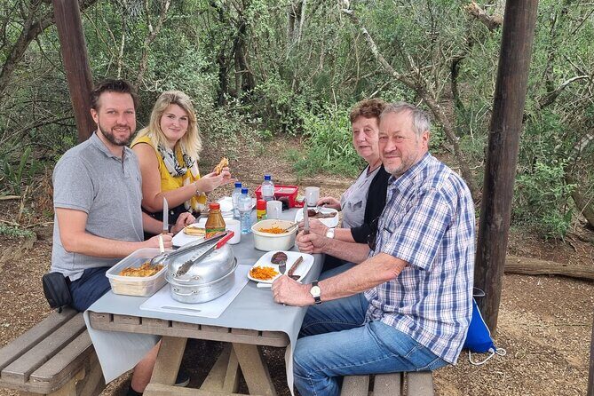 Full-Day BIG 7 Addo Elephant Park & Marine - The Experience: What You Can Expect