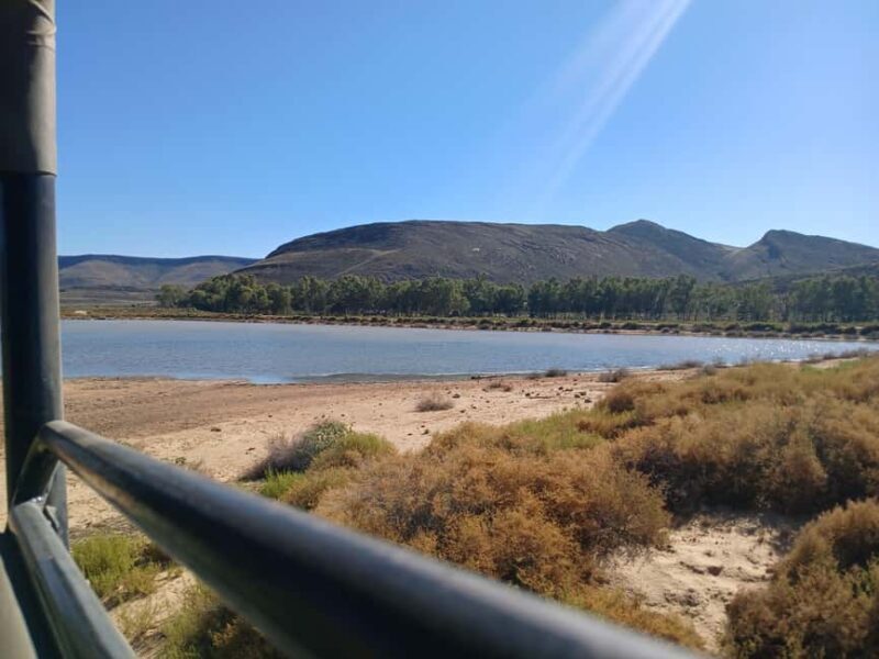 Full day big five safari tour from Cape Town with transfers - Why This Tour Is Worth Considering