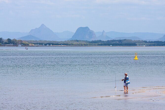 Full Day Birdlife Tour in Bribie Island - A Detailed Look at the Bribie Island Birdlife Tour