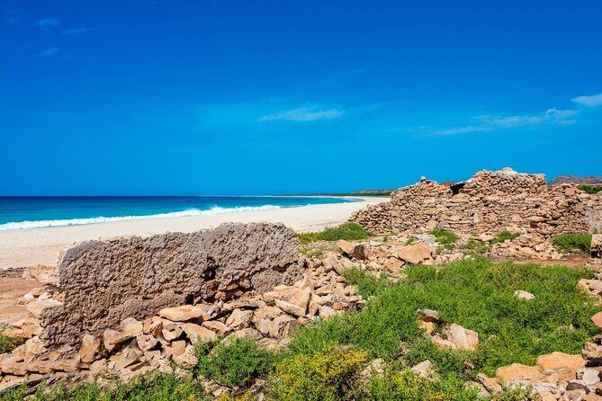 Full Day Boa Vista Island Guided 4X4 Tour with Beachfront Lunch - Logistics, Group Size, and Practical Details