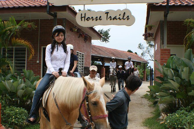 Full-Day Bukit Tinggi French Village Tour - Who Should Consider This Tour?