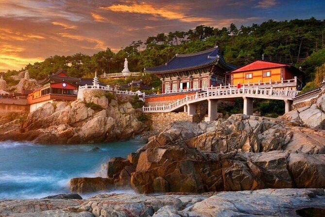 Full-Day Busan Highlights Private Guided Tour - Exploring the Busan Highlights: What to Expect