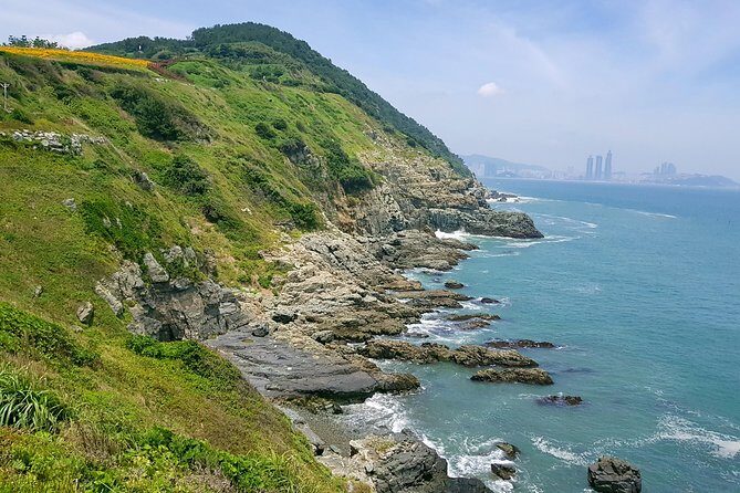 Full Day Busan Tour Including Haedong Yonggungsa Temple - The Value of Guided Tours in Busan