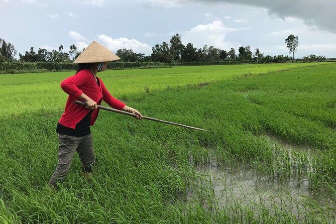 FULL Day - CAI RANG FLOATING MARKET, COOKING CLASS AND EXPLORE THE COUNTRYSIDE - Returning to Ho Chi Minh City