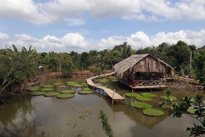Full-day Cai Rang floating market - explore countryside, make bakery - from HCM - A Deep Dive into the Full-day Cai Rang Floating Market Tour