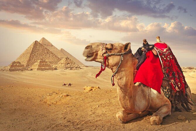 Full Day Cairo Guided Tour Pyramids and Museum, Lunch - Hurghada - What’s Included and What’s Not