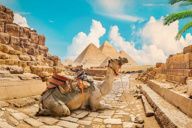 Full Day Cairo Guided Tour Pyramids and Museum, Lunch - Hurghada - Who Will Love This Tour?