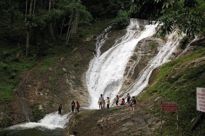 Full-day Cameron Highlands Day Trip from Kuala Lumpur - What Travelers Say