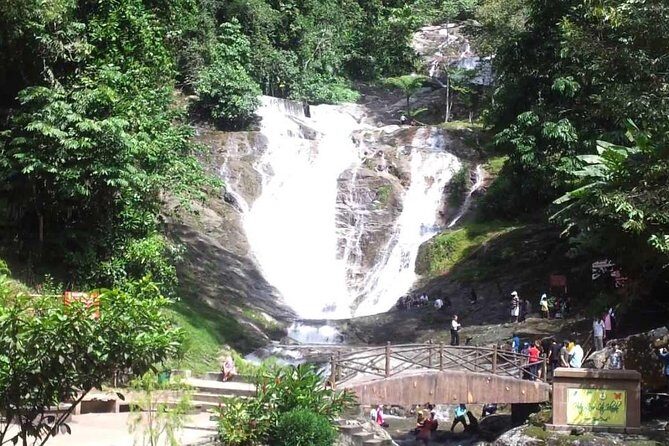 Full-day Cameron Highlands Day Trip from Kuala Lumpur - Who Should Consider This Tour?