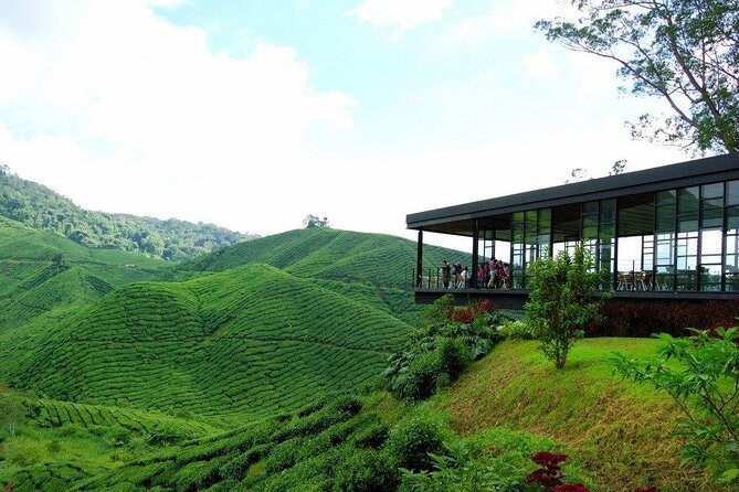 Full-day Cameron Highlands Day Trip from Kuala Lumpur - The Sum Up