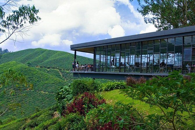 Full Day Cameron Highlands Nature Tour - Analyzing the Value