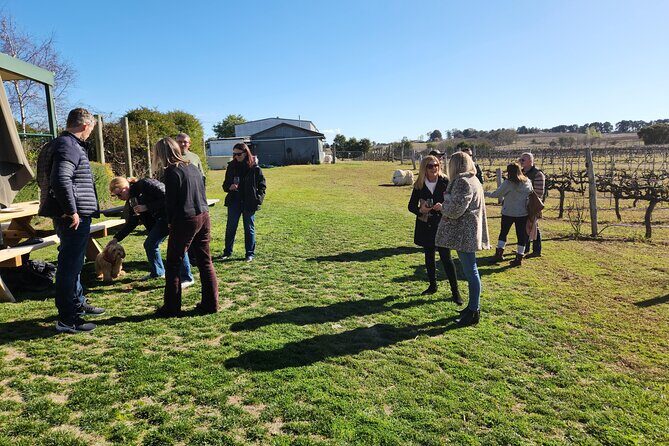Full-Day Canberra Brewery, Wineries & Distillery tour /w lunch - The Sum Up